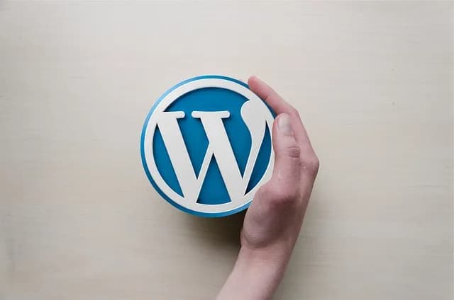 Comment obtenir Divi gratuitement pour WordPress en 2025 ?