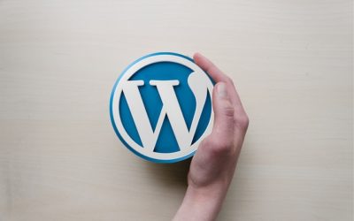 Comment obtenir Divi gratuitement pour WordPress en 2025 ?